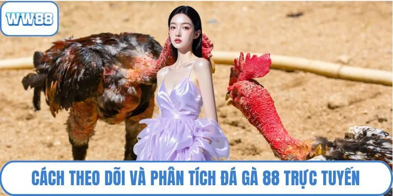 Cách theo dõi và phân tích đá gà 88 trực tuyến